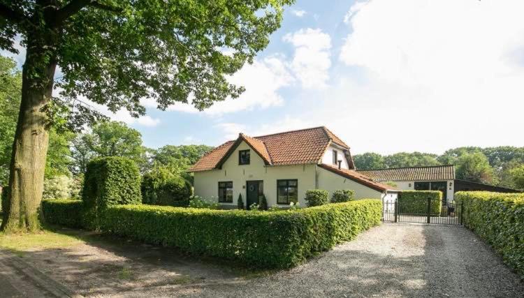 Logement In De Peel Griendtsveen Dış mekan fotoğraf
