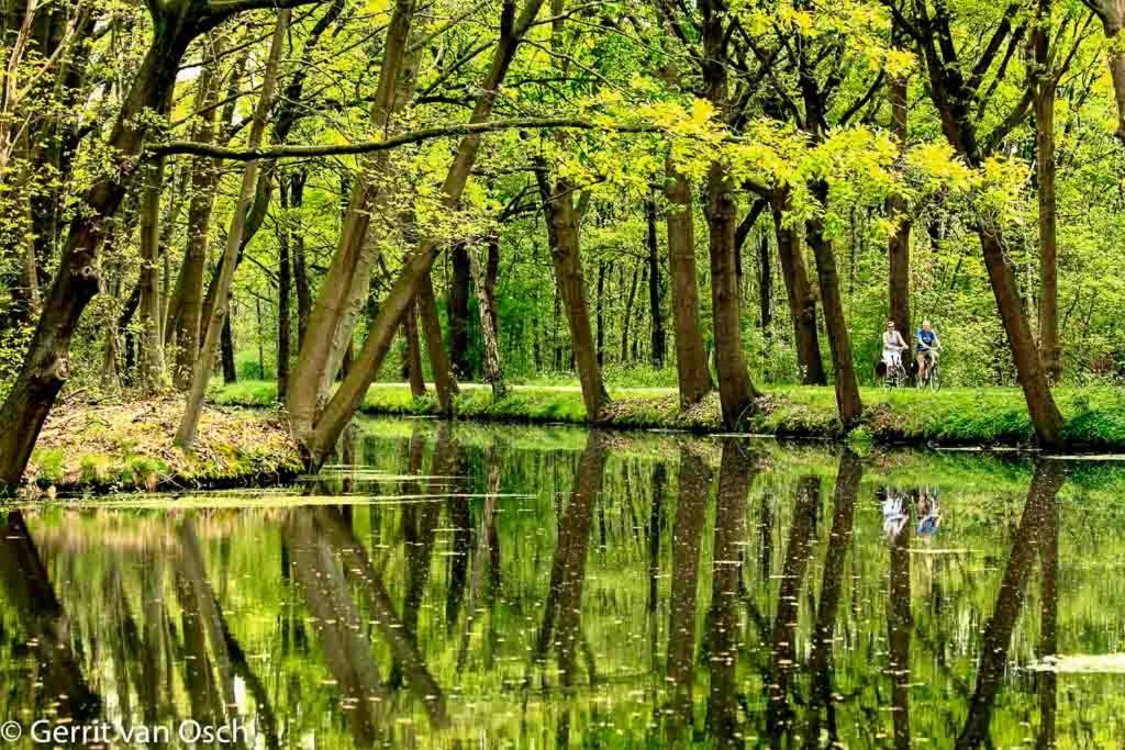 Logement In De Peel Griendtsveen Dış mekan fotoğraf